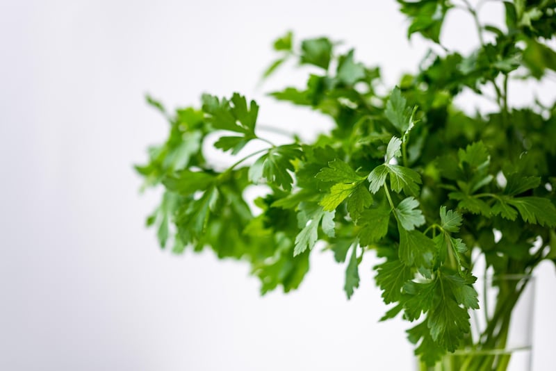 Herb garden decor